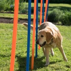Agility Fun & Sport Slalom Set -Trixie Dog Supply Sale 23798 agility fun sport slalom set fg 13 1