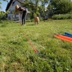 Agility Fun & Sport Slalom Set -Trixie Dog Supply Sale 23798 agility fun sport slalom set fg 4 3