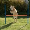Agility Fun & Sport Hurdle -Trixie Dog Supply Sale 23799 agility fun sport huerde fg 10 9