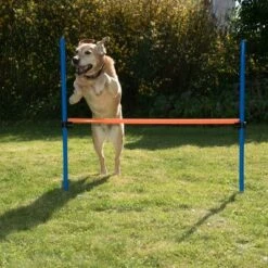 Agility Fun & Sport Hurdle 15 Agility Fun & Sport Hurdle -Trixie Dog Supply Sale 23799 agility fun sport huerde fg 8 6