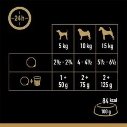 Cesar Trays Multipacks -Trixie Dog Supply Sale 251196 mars megapack cesar scjale landraagout 24x150g hs 05 5