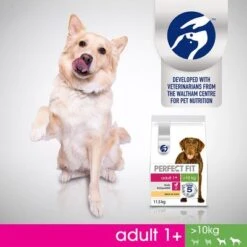 Perfect Fit Adult Dogs (>10kg) -Trixie Dog Supply Sale 252358 mars perfectfit adult hund 10kg hs 08 6