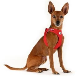 Curli Vest Harness Clasp Air-Mesh, Red 9 Curli Vest Harness Clasp Air-Mesh, Red -Trixie Dog Supply Sale 267400 267300 267401 267302 267303 267301 curli vest geschirr clasp airmesh rot hs 03 1