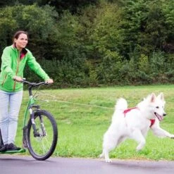 Curli Ultra Strong Pocket Leash -Trixie Dog Supply Sale 267896 267897 ultrastarke taschenleine hs 07 2