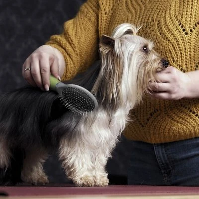 Moser Double Sided Coat Grooming Brush 5 Moser Double Sided Coat Grooming Brush - Image 3