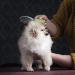 Moser Double Sided Coat Grooming Brush 6 Moser Double Sided Coat Grooming Brush -Trixie Dog Supply Sale 289796 moser beidseitige fellpflegebuerste hs 03 3