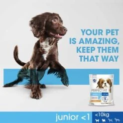 Perfect Fit Junior <1 Small Dogs (<10kg) 16 Perfect Fit Junior <1 Small Dogs (<10kg) -Trixie Dog Supply Sale 2 amazing 5