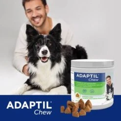 ADAPTIL® Chew For Dogs -Trixie Dog Supply Sale 302596 cevadeutschland adaptil chew hunde 30chews hs 06 6