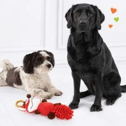 Doglove Dog Toy Fox -Trixie Dog Supply Sale 303196 edupet doglove hundespielzeug fuchs hs 05 9