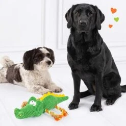 Doglove Dog Toy Crocodile -Trixie Dog Supply Sale 303496 edupet doglove hundespielzeug krokodil hs 05 1