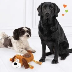 Doglove Dog Toy Pooch -Trixie Dog Supply Sale 303596 edupet doglove hundespielzeug hund hs 05 8