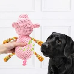 Doglove Dog Toy Pig -Trixie Dog Supply Sale 303598 edupet doglove hundespielzeug pferd hs 03 7