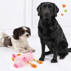 Doglove Dog Toy Pig -Trixie Dog Supply Sale 303598 edupet doglove hundespielzeug pferd hs 05 3