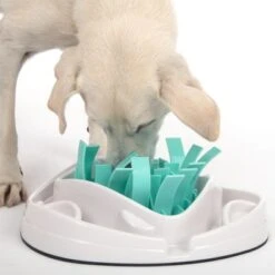 TIAKI Intelligence Toy Grass Slow Feeder 13 TIAKI Intelligence Toy Grass Slow Feeder -Trixie Dog Supply Sale 304297 tiaki dog grass slow feeder fg 1855 7