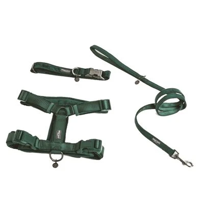 Nomad Tales Blush Harness, Emerald 9 Nomad Tales Blush Harness, Emerald - Image 7