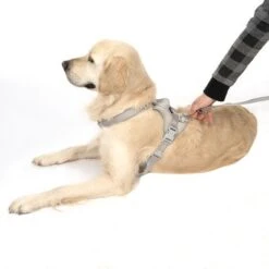 TIAKI Harness Neoprene, Grey 14 TIAKI Harness Neoprene, Grey -Trixie Dog Supply Sale 323033 neoprene geschirr l fg 1703 5