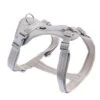 TIAKI Harness Neoprene, Grey