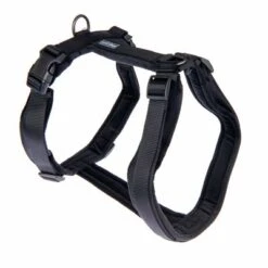 Nomad Tales Blush Harness - Ebony