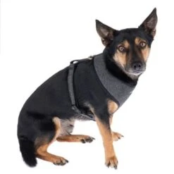 Nomad Tales Calma Harness - Ebony -Trixie Dog Supply Sale 325898 calma fg 7822 6