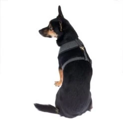 Nomad Tales Calma Harness - Ebony -Trixie Dog Supply Sale 325898 calma fg 7833 3