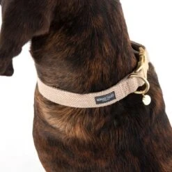 Nomad Tales Calma Collar, Sand -Trixie Dog Supply Sale 325903 calma l sand fg 7961 6