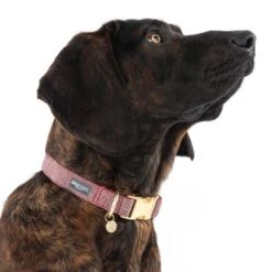 Nomad Tales Calma Collar, Burgundy -Trixie Dog Supply Sale 325904 calma l burgundy fg 7947 8