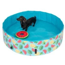 TIAKI Dog Paddling Pool With Cover 13 TIAKI Dog Paddling Pool With Cover -Trixie Dog Supply Sale 325909 schwimmende wassermelone mit ball fg 6696 3