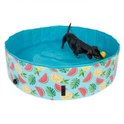 TIAKI Dog Paddling Pool With Cover 16 TIAKI Dog Paddling Pool With Cover -Trixie Dog Supply Sale 326696 floating pineapple fg 6648 6