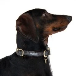 Nomad Tales Calma Collar, Ebony 13 Nomad Tales Calma Collar, Ebony -Trixie Dog Supply Sale 326802 calma m fg 7363 0