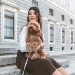 Nomad Tales Calma Dog Leash, Stone -Trixie Dog Supply Sale 326806 326197 nomad tales calma halsband stone 05 0