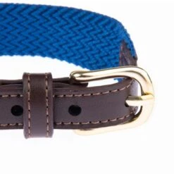 Nomad Tales Bloom Necklace, Sapphire -Trixie Dog Supply Sale 327096 326808 326809 326810 nomad tales bloom halsbaender fg 1460 1