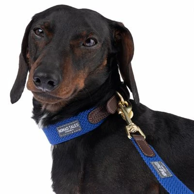 Nomad Tales Bloom Leash, Sapphire 7 Nomad Tales Bloom Leash, Sapphire - Image 5