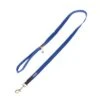 Nomad Tales Bloom Leash, Sapphire