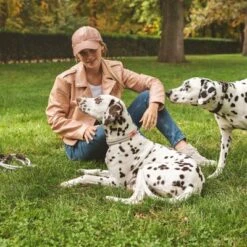 Nomad Tales Spirit Collar, Stone 14 Nomad Tales Spirit Collar, Stone -Trixie Dog Supply Sale 329197 nomad tales spirit halsband stone 04 4