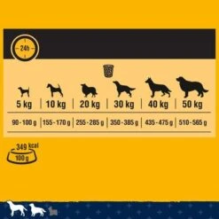 Pedigree Tender Goodness With Poultry 9 Pedigree Tender Goodness With Poultry -Trixie Dog Supply Sale 351697 pedigree tender goodness mit gefluegel 2 6kg hs 8 1 4