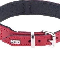 HUNTER Swiss Dog Collar -Trixie Dog Supply Sale 36707 hunter swiss 1 7