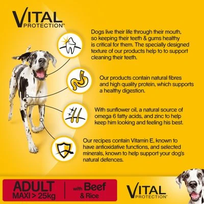 Pedigree Adult Maxi Complete - Vital Protection Beef 4 Pedigree Adult Maxi Complete - Vital Protection Beef - Image 2