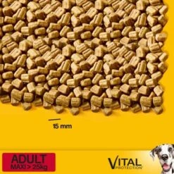 Pedigree Adult Maxi Complete - Vital Protection Beef 8 Pedigree Adult Maxi Complete - Vital Protection Beef -Trixie Dog Supply Sale 4008429086397 si03 foodshot uk min 5