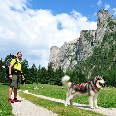 NEEWA Bungee Line Lead 7 NEEWA Bungee Line Lead - Image 5