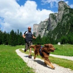 NEEWA Canicross Jogging Belt -Trixie Dog Supply Sale 505647 hp neewa canicross jogging gurt im einsatz 3