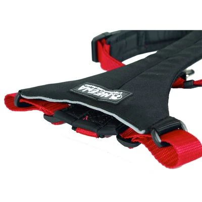 NEEWA Running Harness - Red 4 NEEWA Running Harness - Red - Image 2