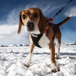 NEEWA Running Harness - Red 11 NEEWA Running Harness - Red -Trixie Dog Supply Sale 505648 hs neewa running harness rot hund 4