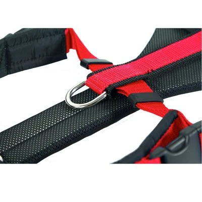 NEEWA Running Harness - Red 5 NEEWA Running Harness - Red - Image 3