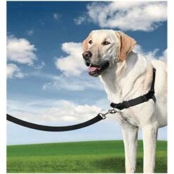 PetSafe® Easy Walk® Harness -Trixie Dog Supply Sale 596657 ew s w hund 1
