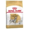 Royal Canin Dalmatian Adult 1 Royal Canin Dalmatian Adult -Trixie Dog Supply Sale 61132 pla royalcanin adulthund dalmatian 8