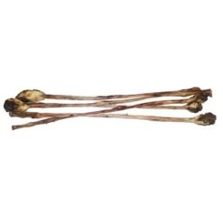 Caniland Calf Pizzle