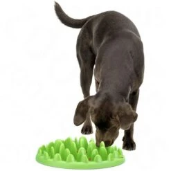 NORTHMATE ® Green Feeder 5 NORTHMATE ® Green Feeder -Trixie Dog Supply Sale 62796 northmate green feeder mit hund 8