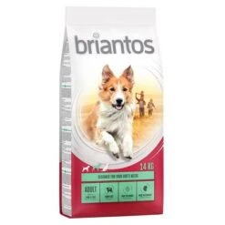 Briantos Dry Dog Food Economy Packs -Trixie Dog Supply Sale 66220 pla briantos adult lamm reis 14 kg hs 02 0 1