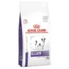 Royal Canin Veterinary Dog – Dental Special Small Dog -Trixie Dog Supply Sale 68162 pla elvetis royal canin veterinary dental small dog 3