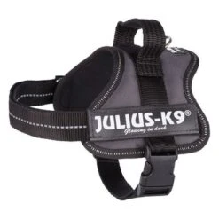 Julius K9 JULIUS-K9® Power Harness - Anthracite -Trixie Dog Supply Sale 69338 pla trixie julius k9 farbangabe hs 03 15020za 3